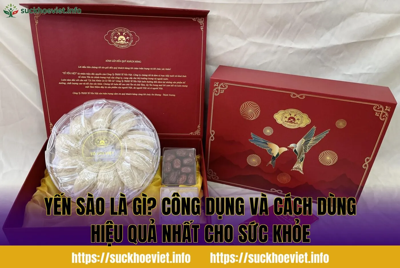 Yến sào là gì? Công dụng và cách dùng hiệu quả nhất cho sức khỏe