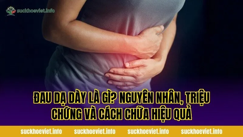 Đau dạ dày là gì? Nguyên nhân, triệu chứng và cách chữa hiệu quả