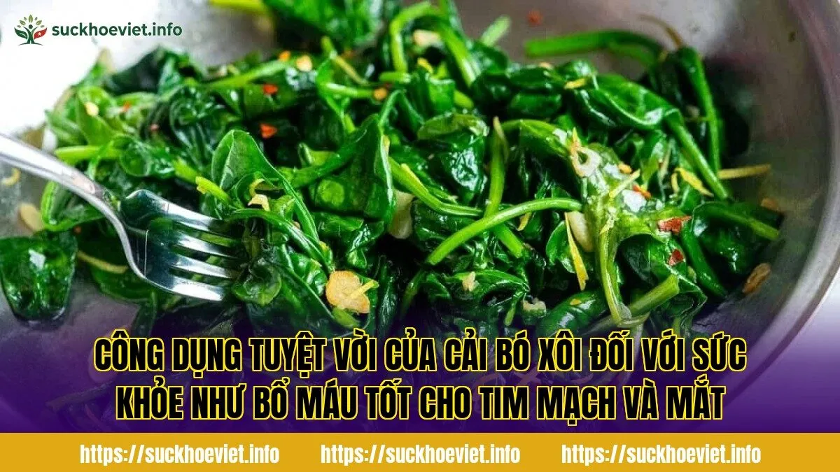 Công dụng tuyệt vời của cải bó xôi đối với sức khỏe như bổ máu tốt cho tim mạch và mắt