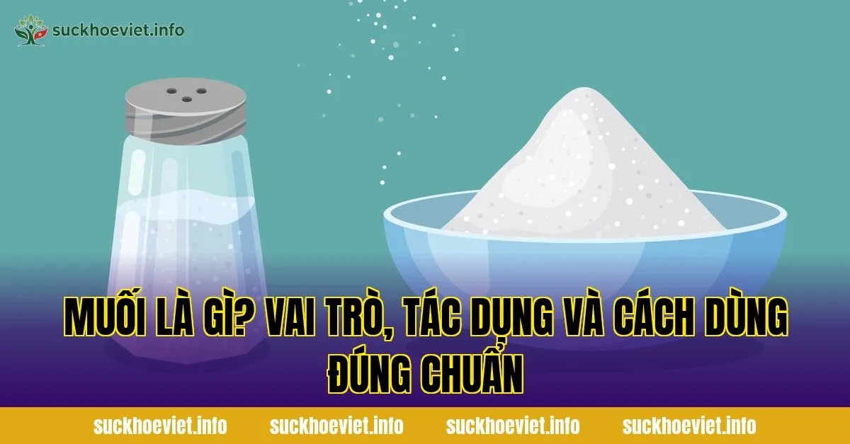 Muối là gì? Vai trò, tác dụng và cách dùng đúng chuẩn