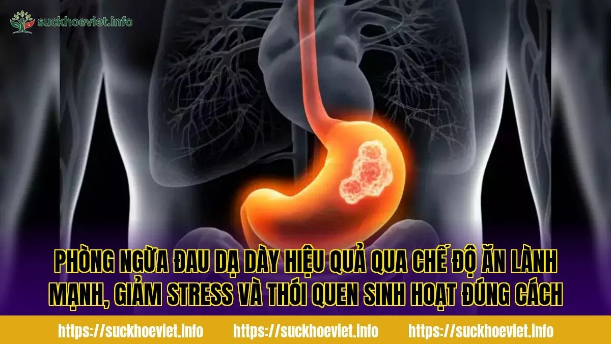 Phòng ngừa đau dạ dày hiệu quả qua chế độ ăn lành mạnh, giảm stress và thói quen sinh hoạt đúng cách