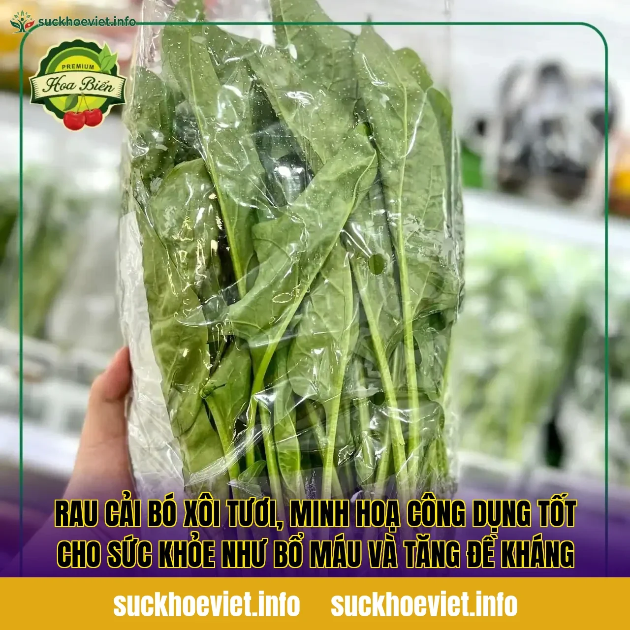 Rau cải bó xôi tươi, minh hoạ công dụng tốt cho sức khỏe như bổ máu và tăng đề kháng