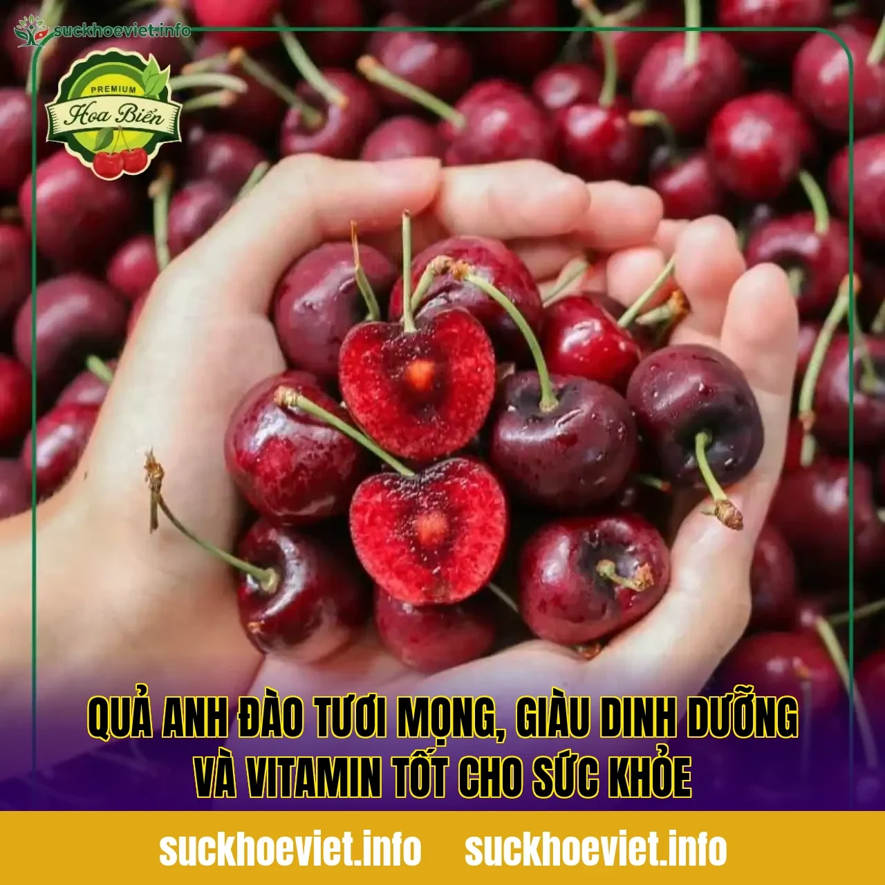 Quả anh đào tươi mọng, giàu dinh dưỡng và vitamin tốt cho sức khỏe