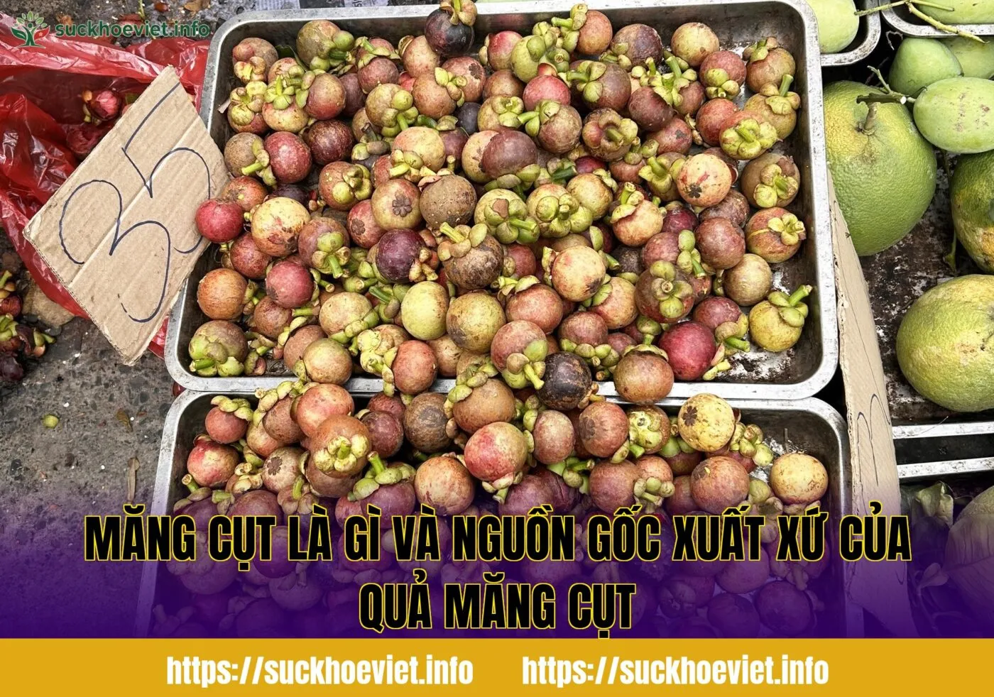 Măng cụt là gì và nguồn gốc xuất xứ của quả măng cụt