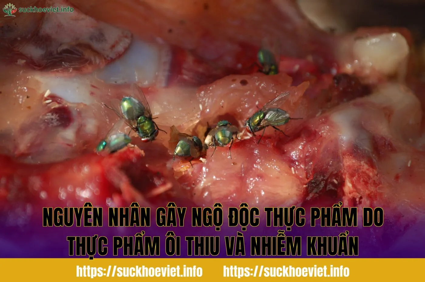nguyên nhân gây ngộ độc thực phẩm do thực phẩm ôi thiu và nhiễm khuẩn