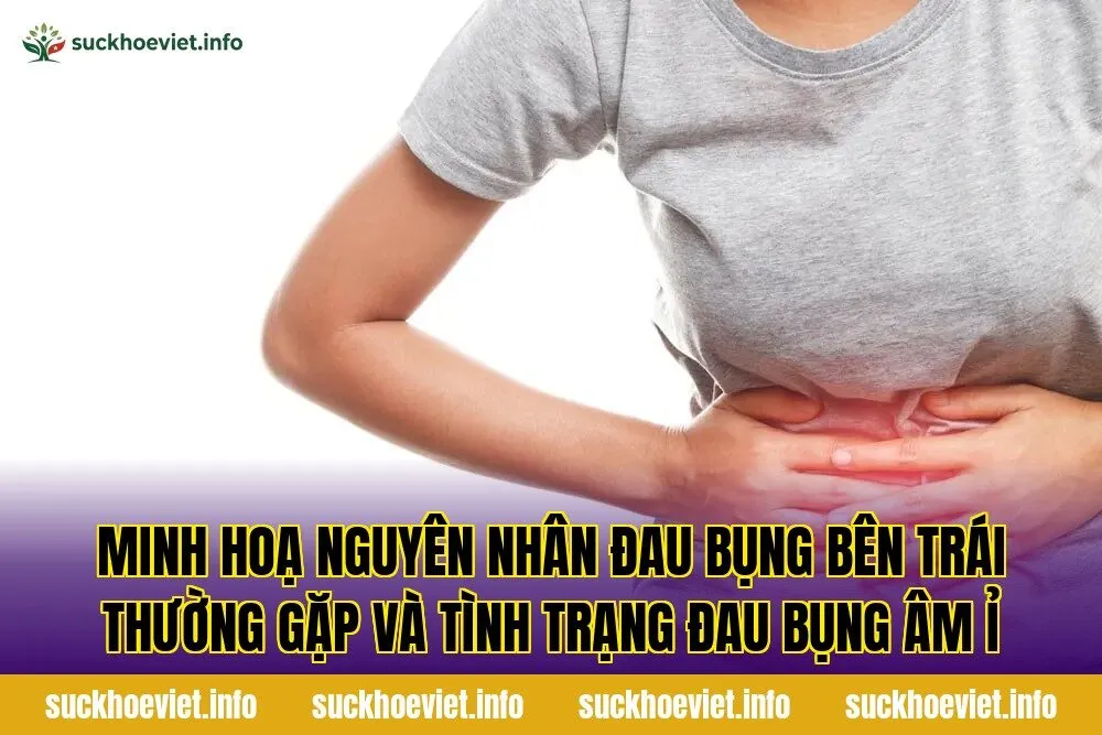 Minh hoạ nguyên nhân đau bụng bên trái thường gặp và tình trạng đau bụng âm ỉ