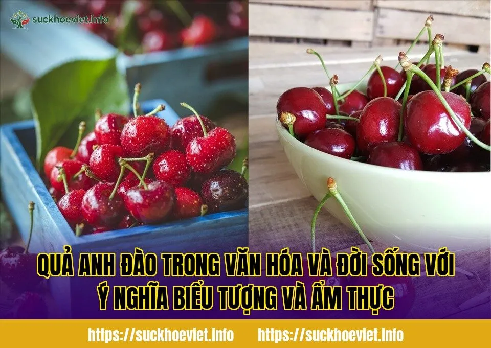 Quả anh đào trong văn hóa và đời sống với ý nghĩa biểu tượng và ẩm thực