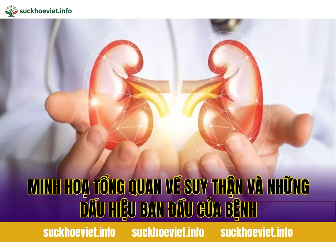 Minh hoạ tổng quan về suy thận và những dấu hiệu ban đầu của bệnh