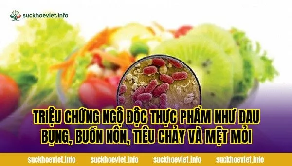 Triệu chứng ngộ độc thực phẩm như đau bụng, buồn nôn, tiêu chảy và mệt mỏi