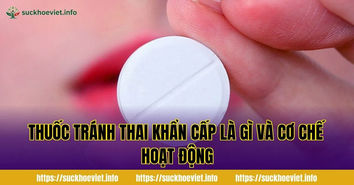 Thuốc tránh thai khẩn cấp là gì và cơ chế hoạt động