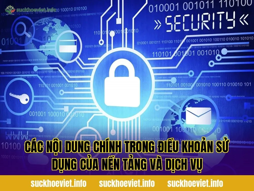 Các nội dung chính trong điều khoản sử dụng của nền tảng và dịch vụ