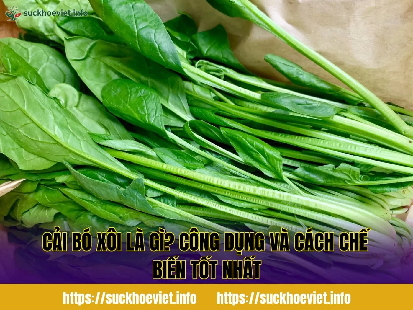 Cải bó xôi là gì? Công dụng và cách chế biến tốt nhất