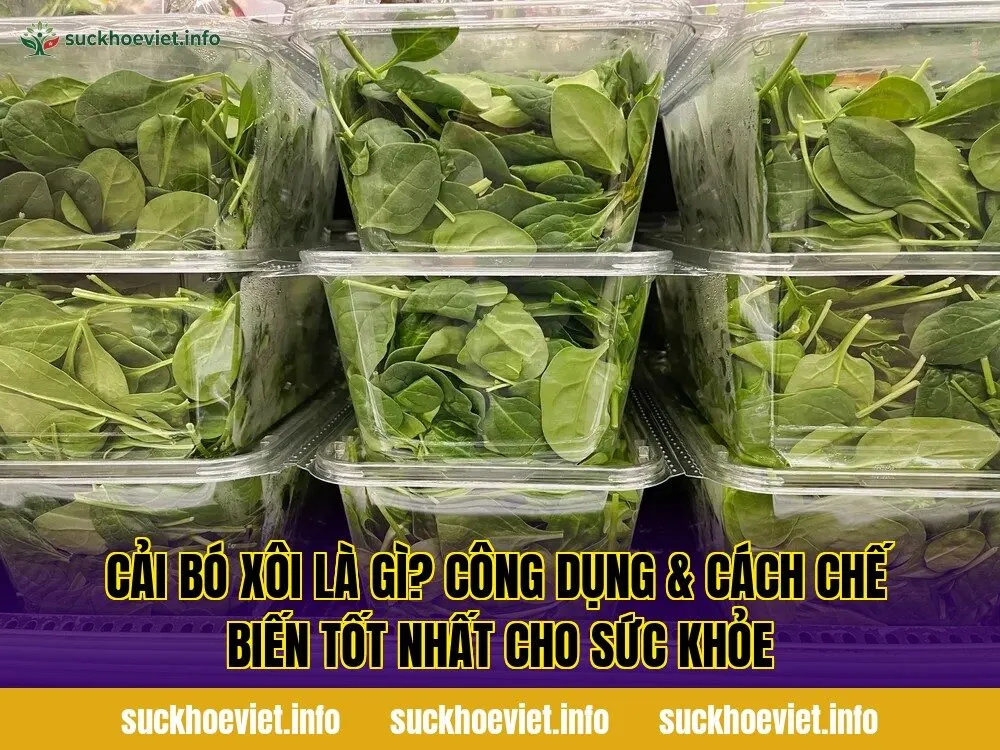 Cải bó xôi là gì? Công dụng & cách chế biến tốt nhất cho sức khỏe
