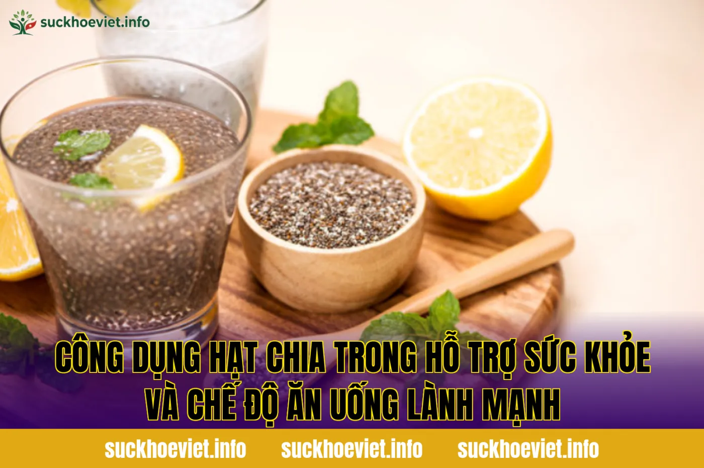 Công dụng hạt chia trong hỗ trợ sức khỏe và chế độ ăn uống lành mạnh