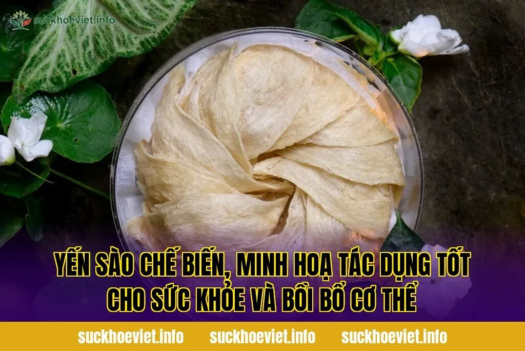 Yến sào chế biến, minh hoạ tác dụng tốt cho sức khỏe và bồi bổ cơ thể