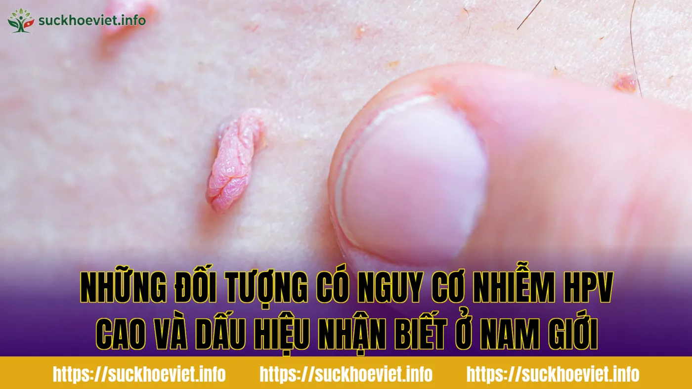 Những đối tượng có nguy cơ nhiễm HPV cao và dấu hiệu nhận biết ở nam giới