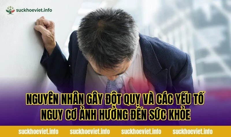 Nguyên nhân gây đột quỵ và các yếu tố nguy cơ ảnh hưởng đến sức khỏe