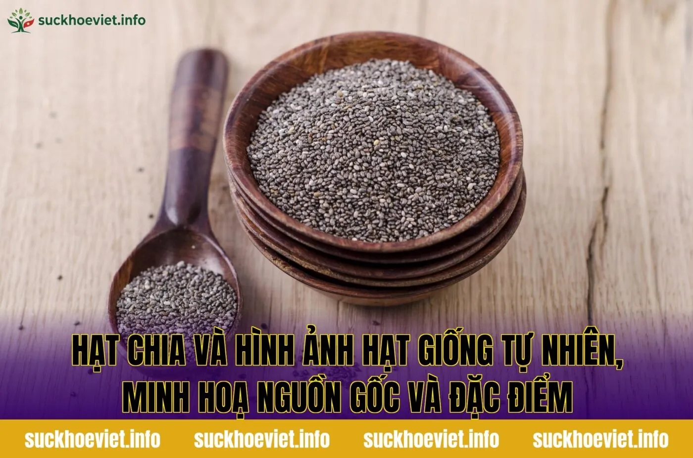 Hạt chia và hình ảnh hạt giống tự nhiên, minh hoạ nguồn gốc và đặc điểm