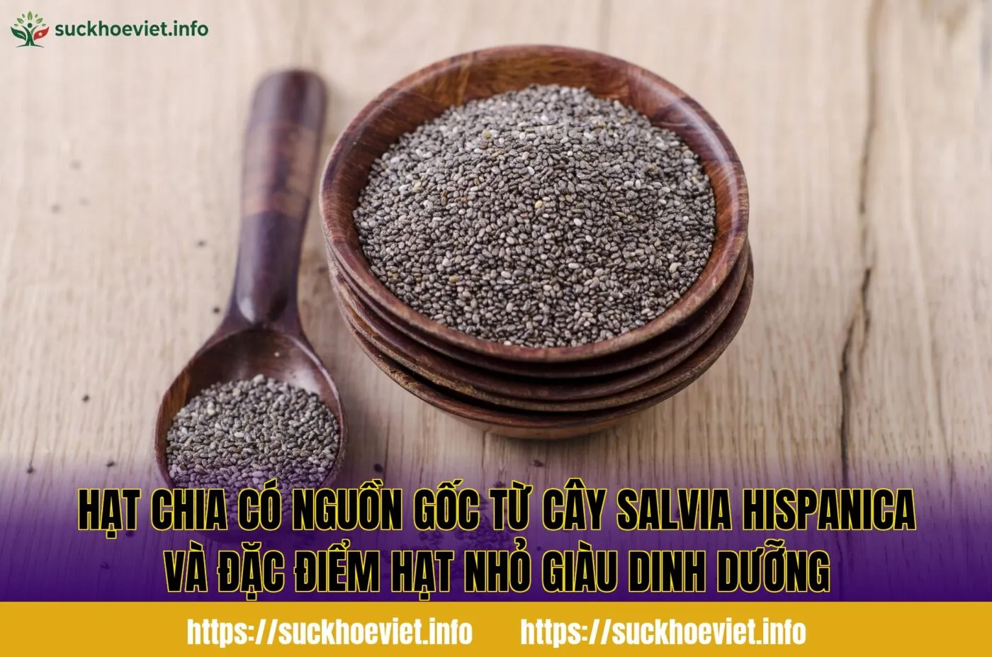 Hạt chia có nguồn gốc từ cây Salvia hispanica và đặc điểm hạt nhỏ giàu dinh dưỡng