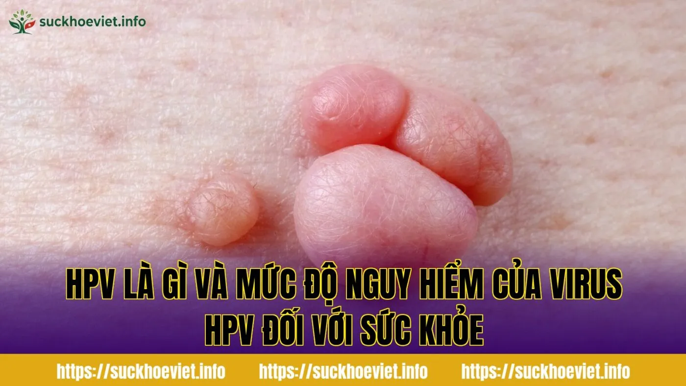 HPV là gì và mức độ nguy hiểm của virus HPV đối với sức khỏe