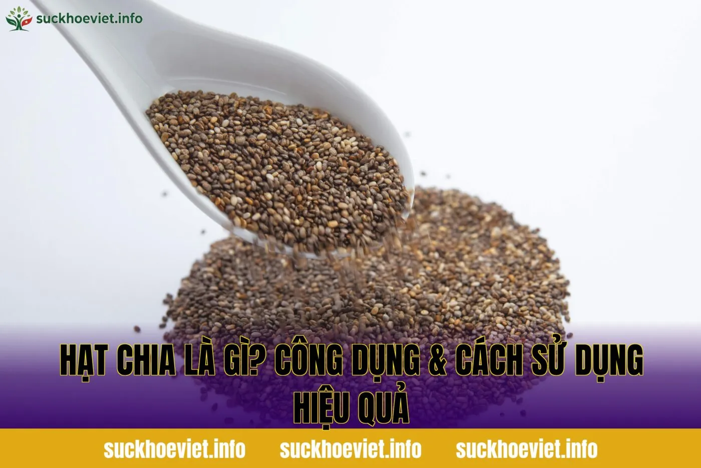 Hạt chia là gì? Công dụng & cách sử dụng hiệu quả