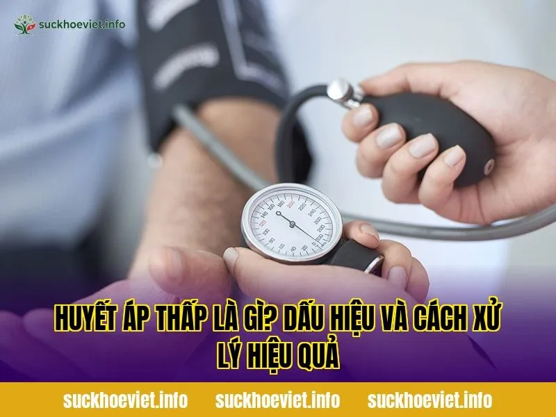 Huyết áp thấp là gì? Dấu hiệu và cách xử lý hiệu quả