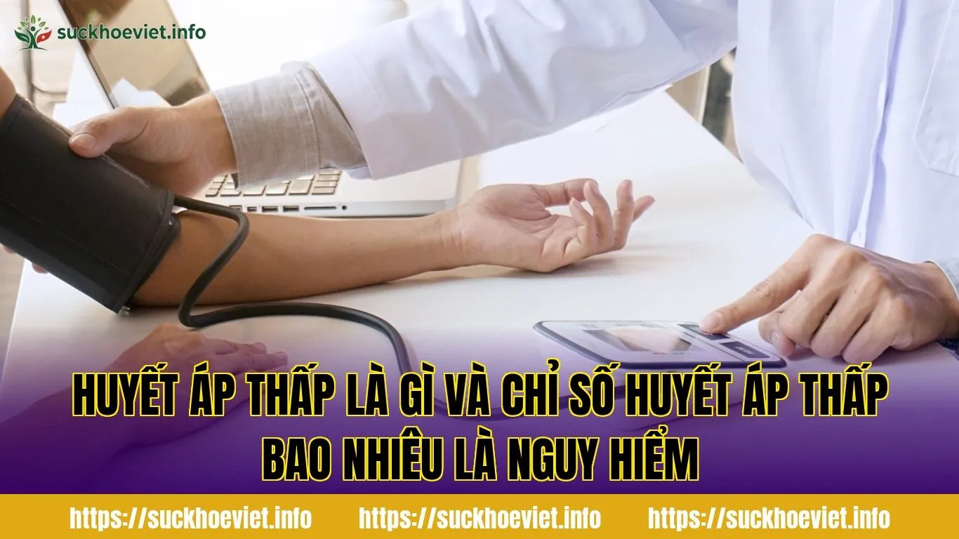 huyết áp thấp là gì và chỉ số huyết áp thấp bao nhiêu là nguy hiểm