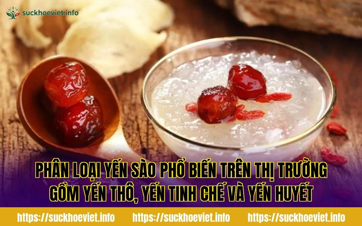 Phân loại yến sào phổ biến trên thị trường gồm yến thô, yến tinh chế và yến huyết