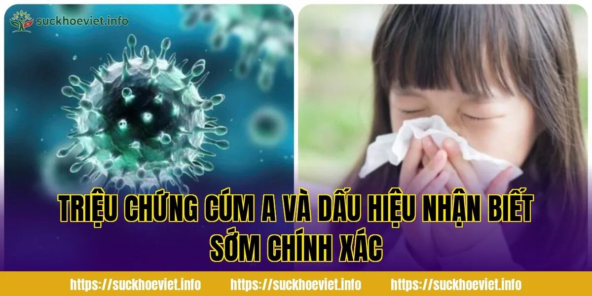 Triệu chứng cúm A và dấu hiệu nhận biết sớm chính xác