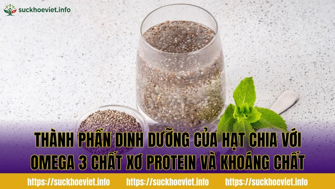 Thành phần dinh dưỡng của hạt chia với omega 3 chất xơ protein và khoáng chất
