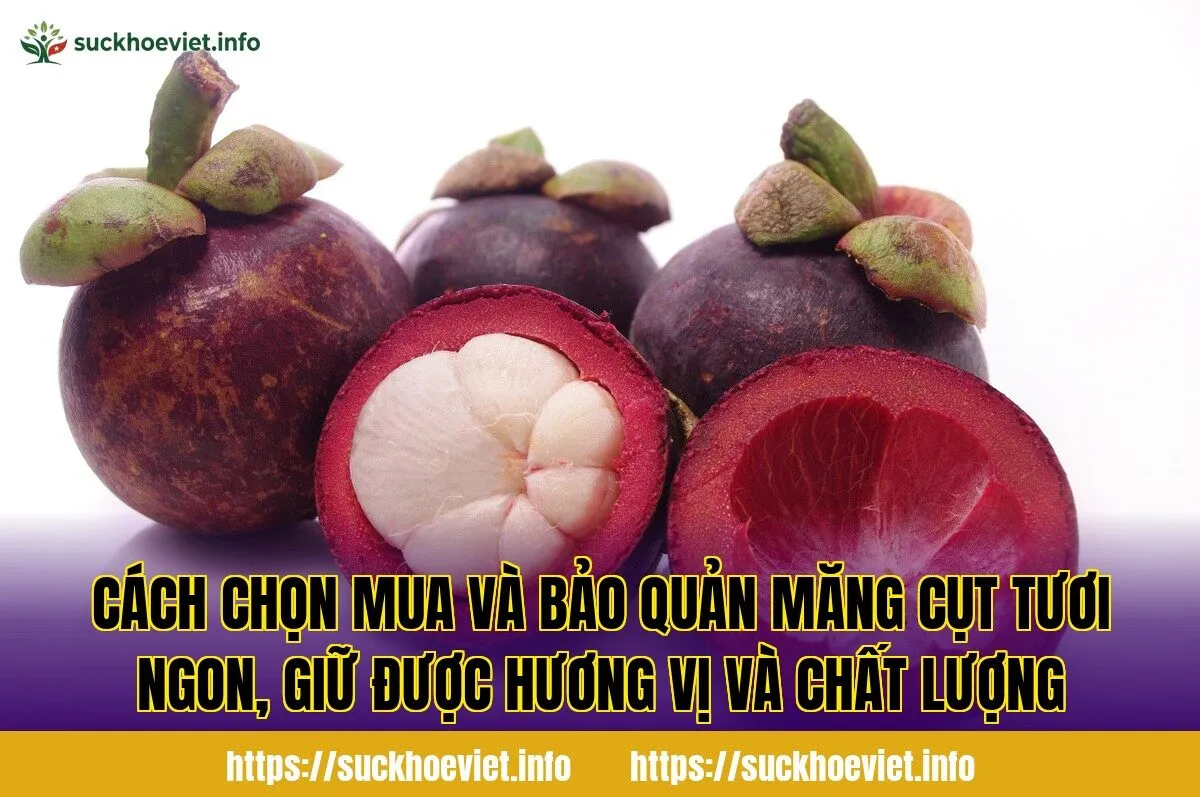 Cách chọn mua và bảo quản măng cụt tươi ngon, giữ được hương vị và chất lượng