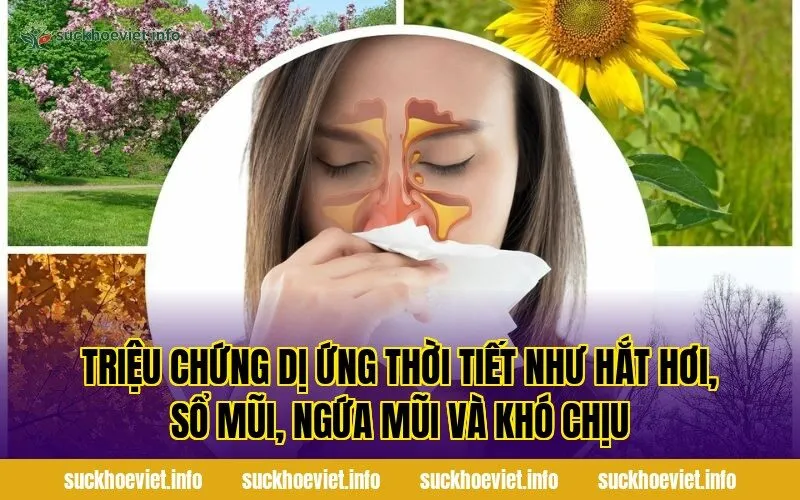 Triệu chứng dị ứng thời tiết như hắt hơi, sổ mũi, ngứa mũi và khó chịu