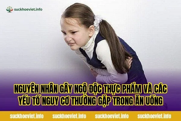 Nguyên nhân gây ngộ độc thực phẩm và các yếu tố nguy cơ thường gặp trong ăn uống