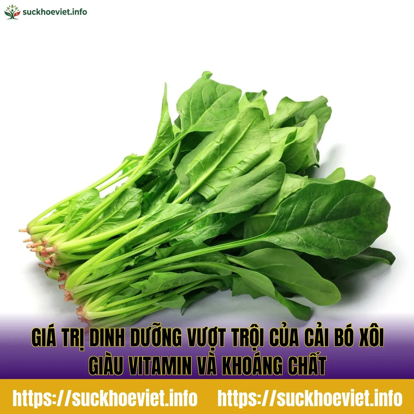 Giá trị dinh dưỡng vượt trội của cải bó xôi giàu vitamin và khoáng chất