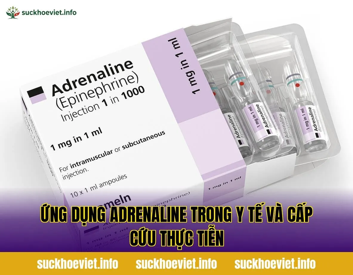 Ứng dụng adrenaline trong y tế và cấp cứu thực tiễn