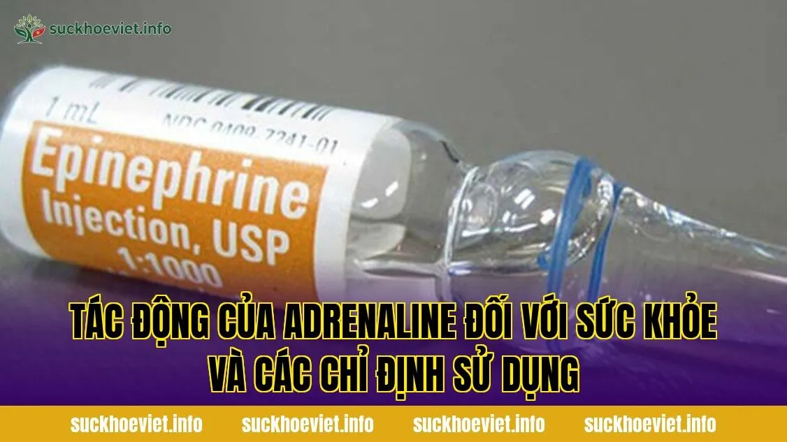 Tác động của adrenaline đối với sức khỏe và các chỉ định sử dụng