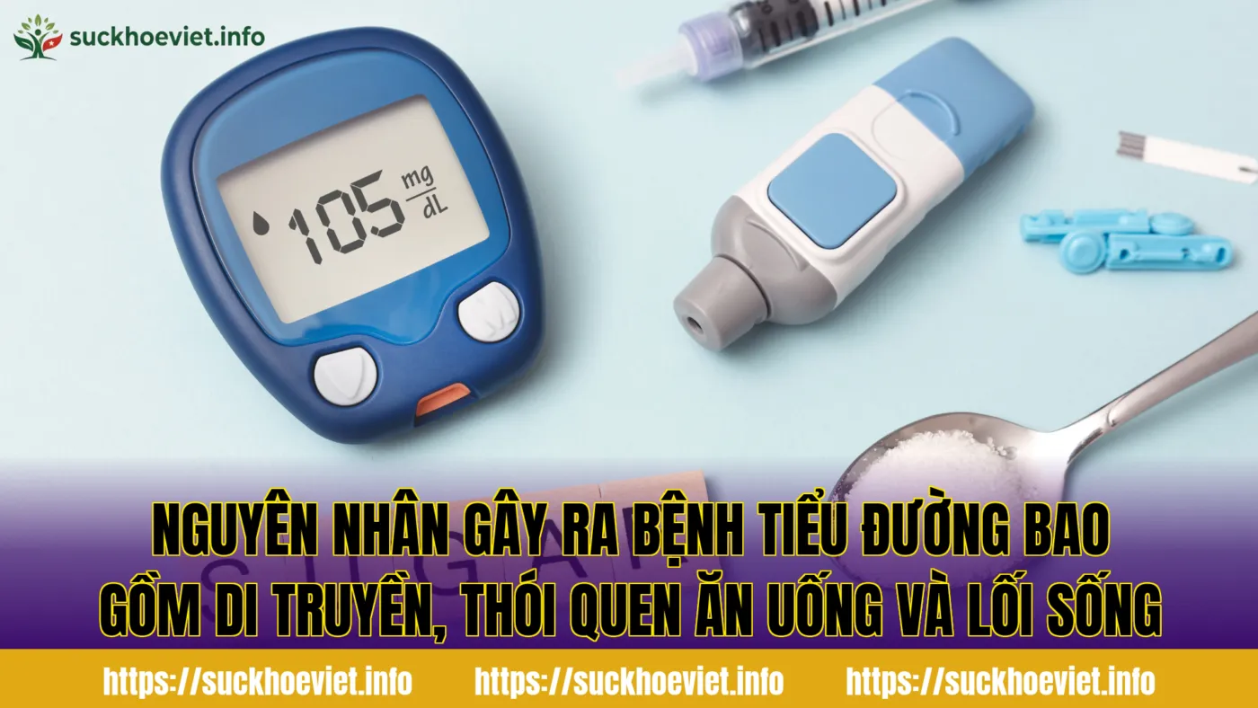Nguyên nhân gây ra bệnh tiểu đường bao gồm di truyền, thói quen ăn uống và lối sống