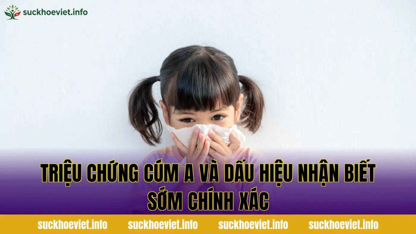 Triệu chứng cúm A và dấu hiệu nhận biết sớm chính xác