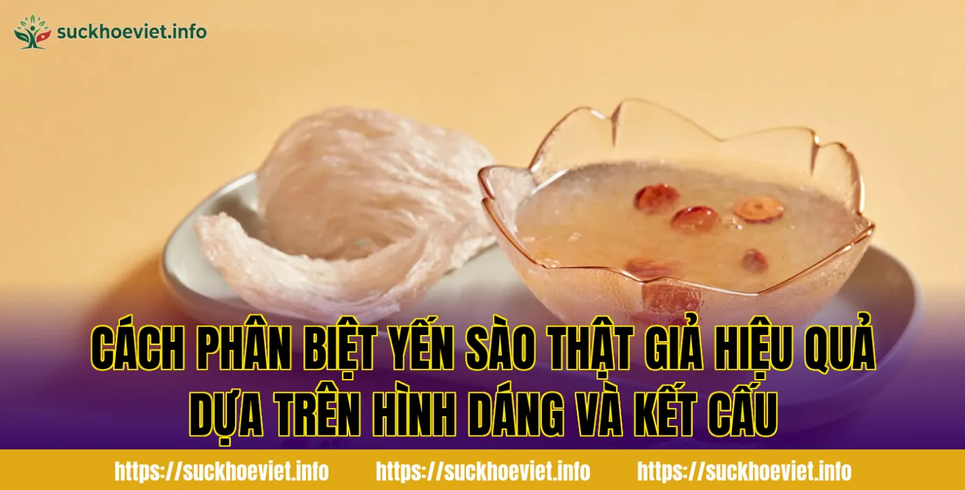 Cách phân biệt yến sào thật giả hiệu quả dựa trên hình dáng và kết cấu