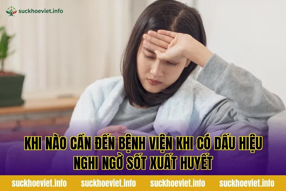 Khi nào cần đến bệnh viện khi có dấu hiệu nghi ngờ sốt xuất huyết