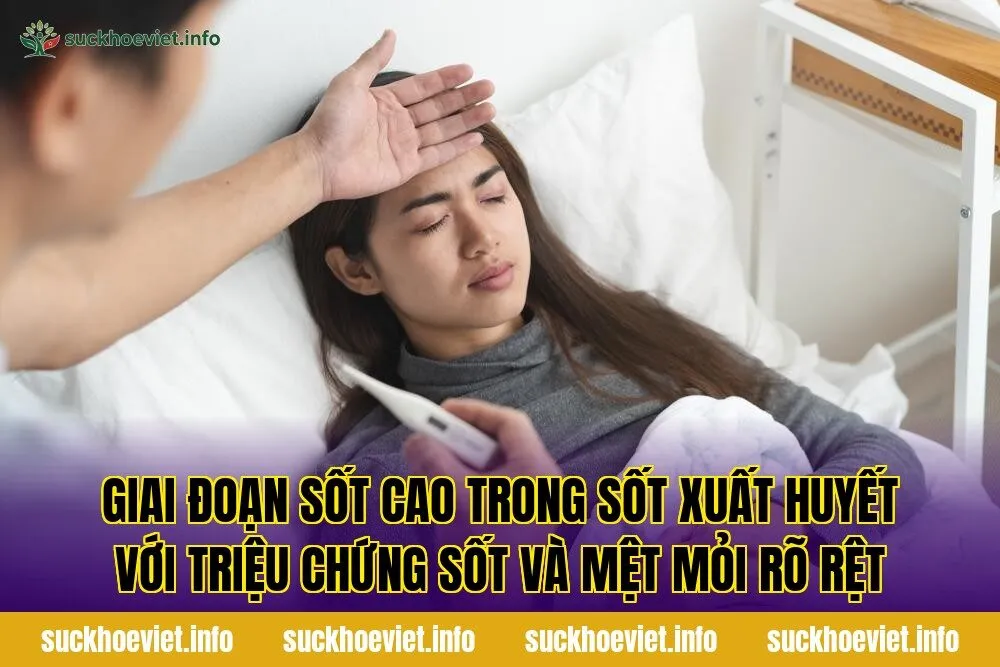 Giai đoạn sốt cao trong sốt xuất huyết với triệu chứng sốt và mệt mỏi rõ rệt