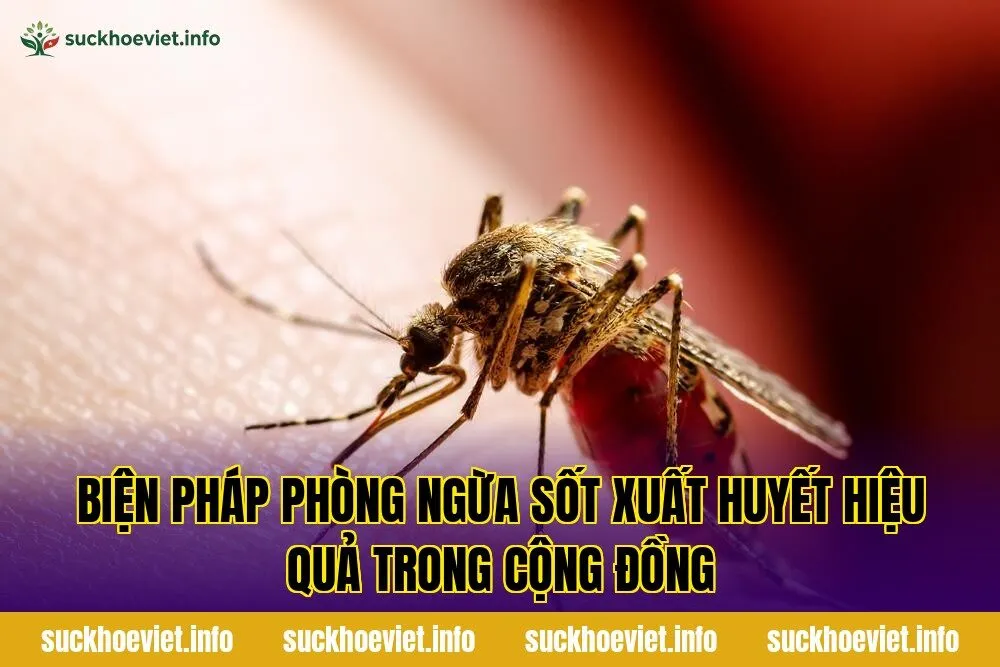 Biện pháp phòng ngừa sốt xuất huyết hiệu quả trong cộng đồng