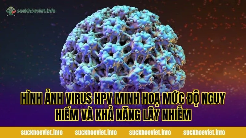 Hình ảnh virus HPV minh hoạ mức độ nguy hiểm và khả năng lây nhiễm