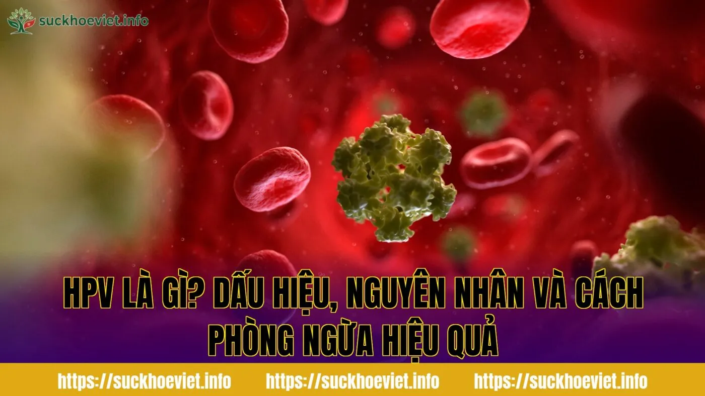 HPV là gì? Dấu hiệu, nguyên nhân và cách phòng ngừa hiệu quả