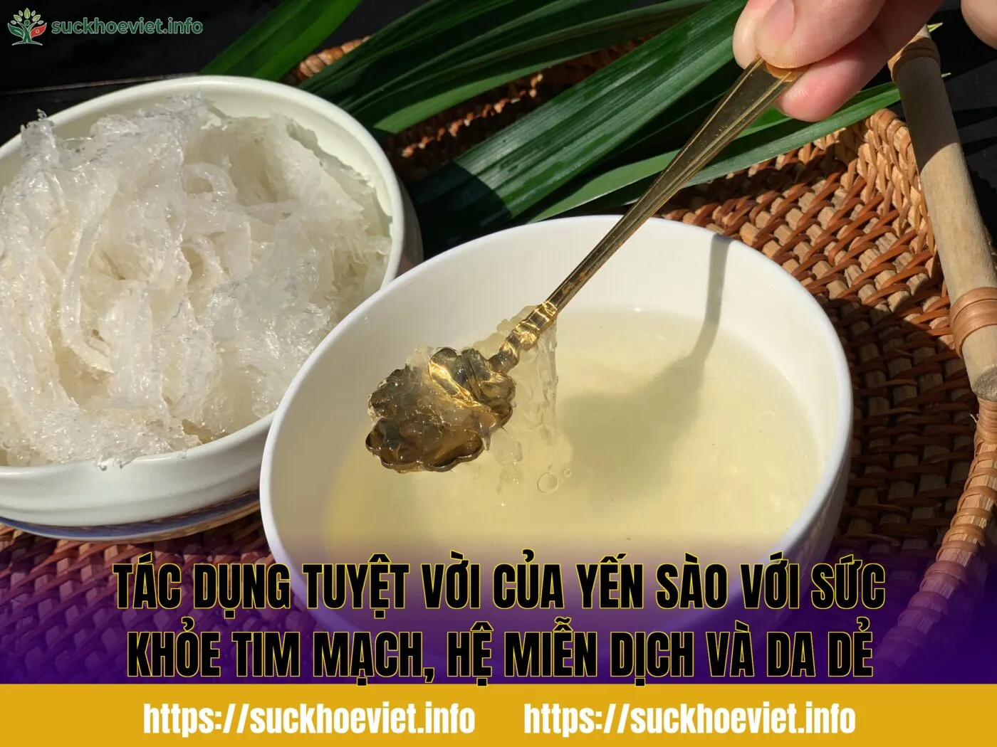 Tác dụng tuyệt vời của yến sào với sức khỏe tim mạch, hệ miễn dịch và da dẻ