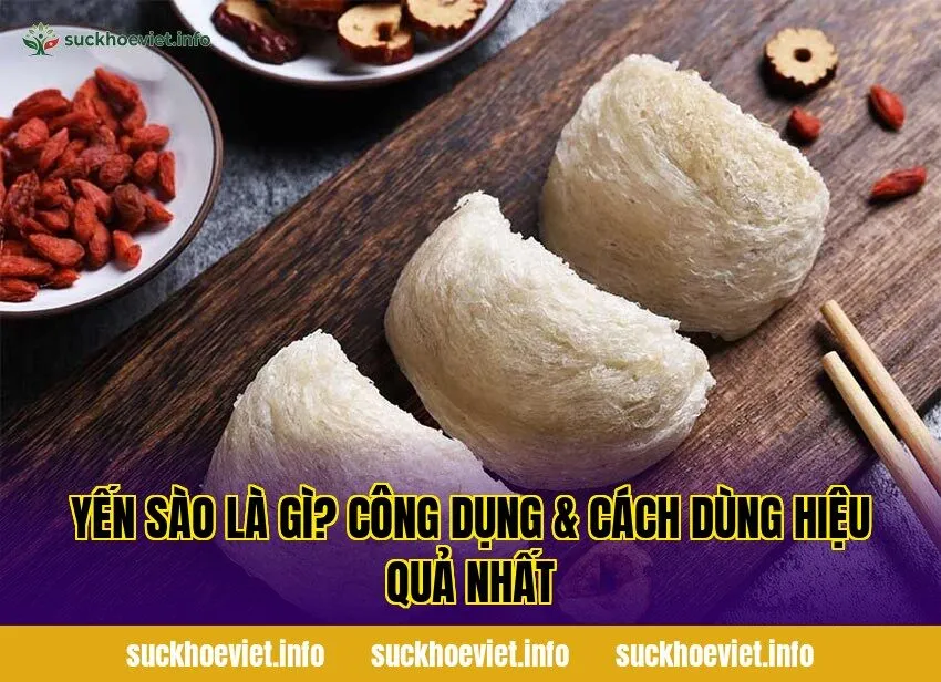 Yến sào là gì? Công dụng & cách dùng hiệu quả nhất