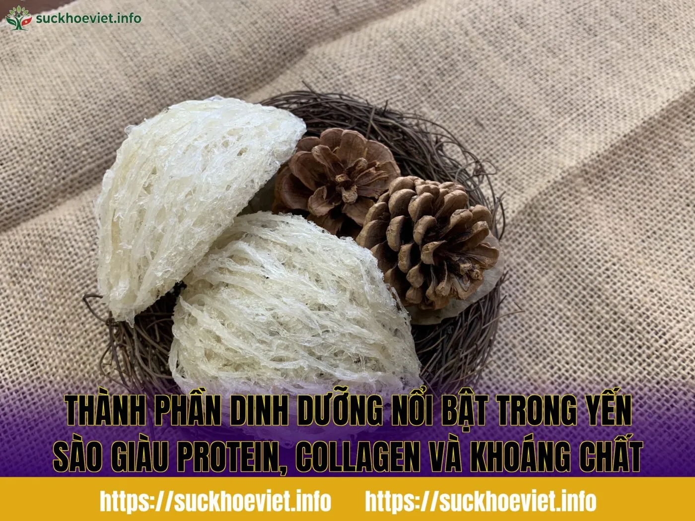 Thành phần dinh dưỡng nổi bật trong yến sào giàu protein, collagen và khoáng chất