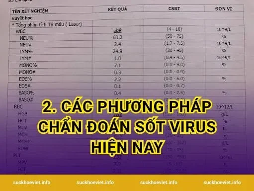2. Các phương pháp chẩn đoán sốt virus hiện nay