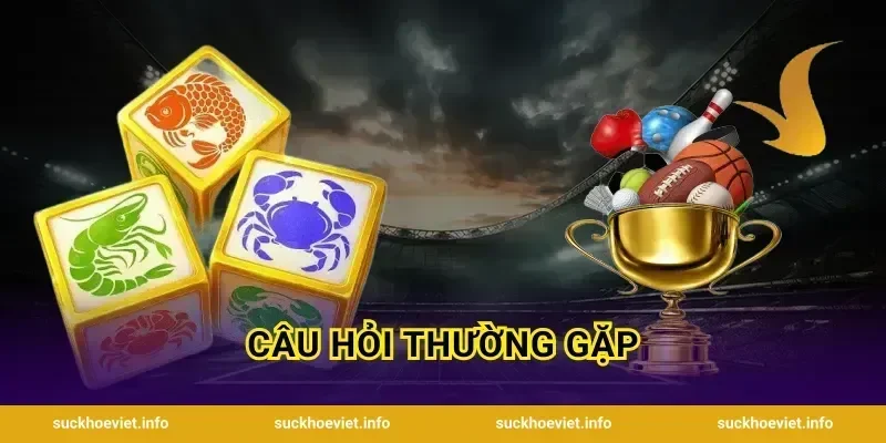 Câu Hỏi Thường Gặp