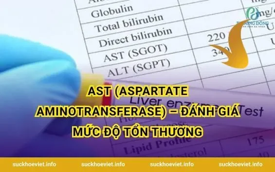AST (Aspartate Aminotransferase) – Đánh Giá Mức Độ Tổn Thương
